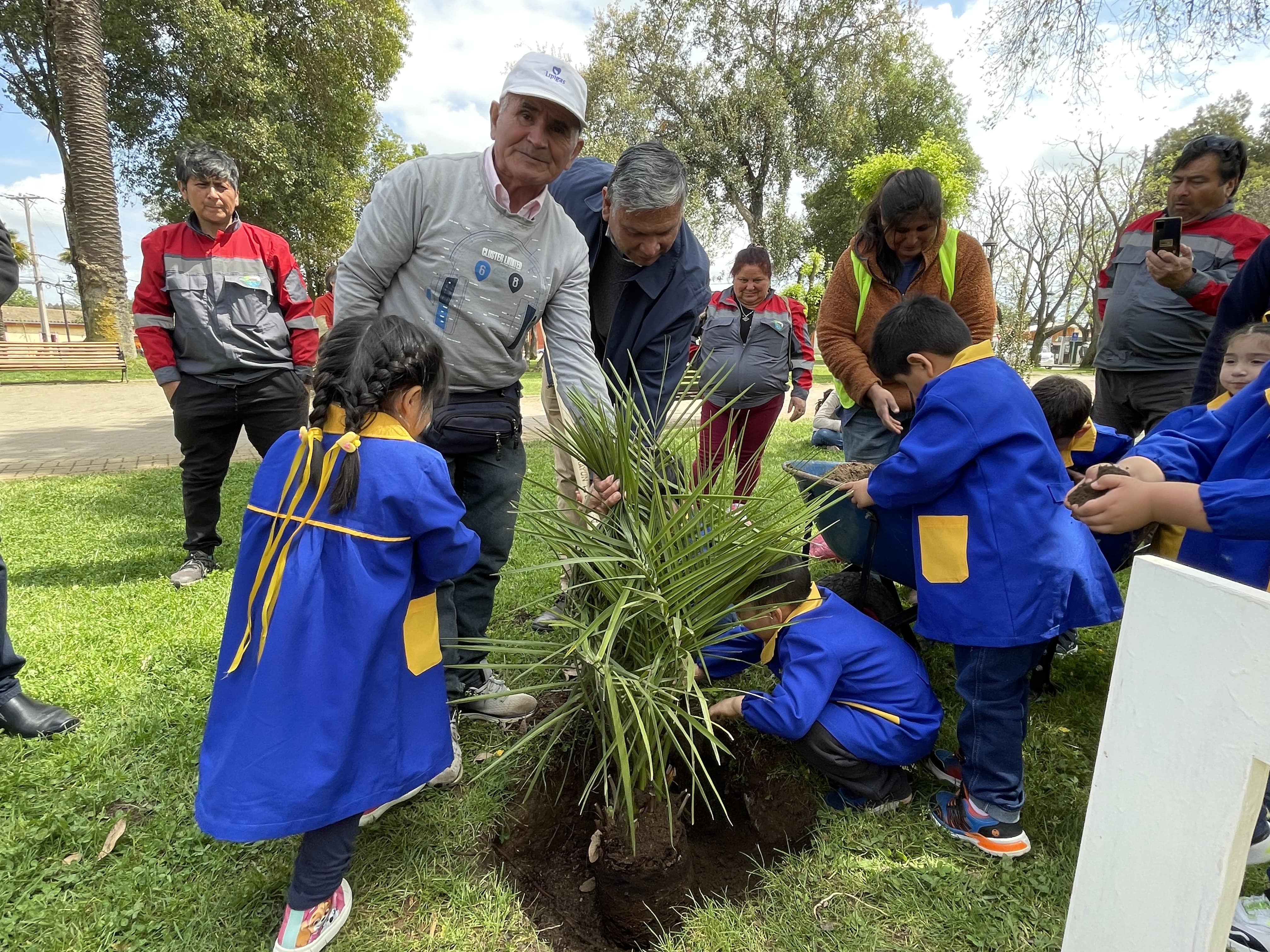 Celebran Día Mundial de la Protección de la Naturaleza con plantación de palmas chilenas en Plaza de Armas