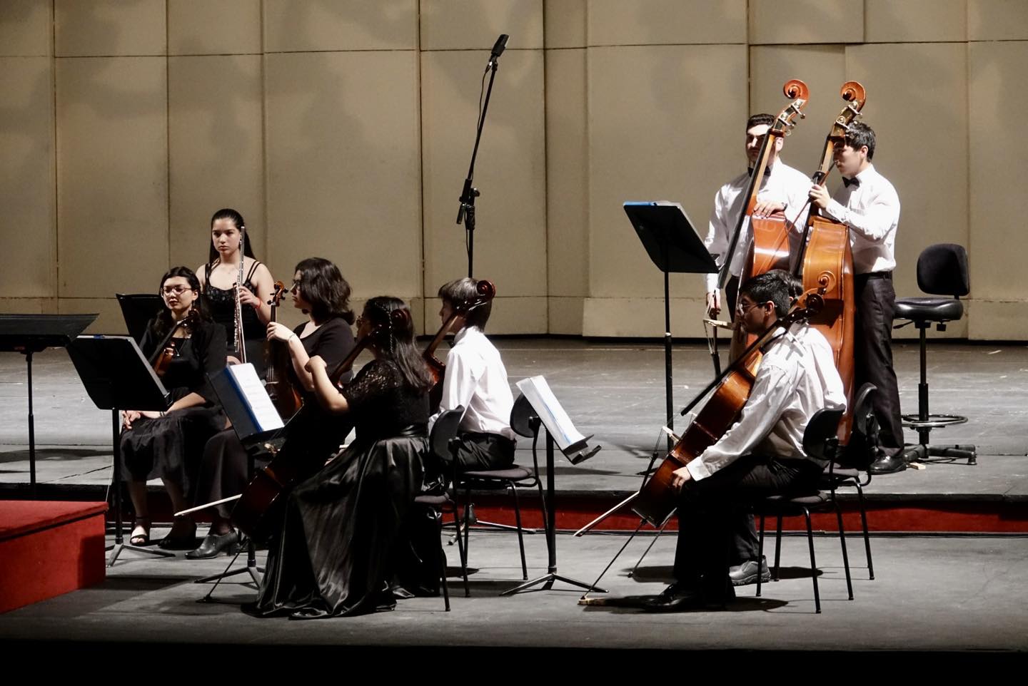 Orquesta Sinfónica Infantil y Juvenil de Pelarco brilló en el Teatro Municipal de Santiago